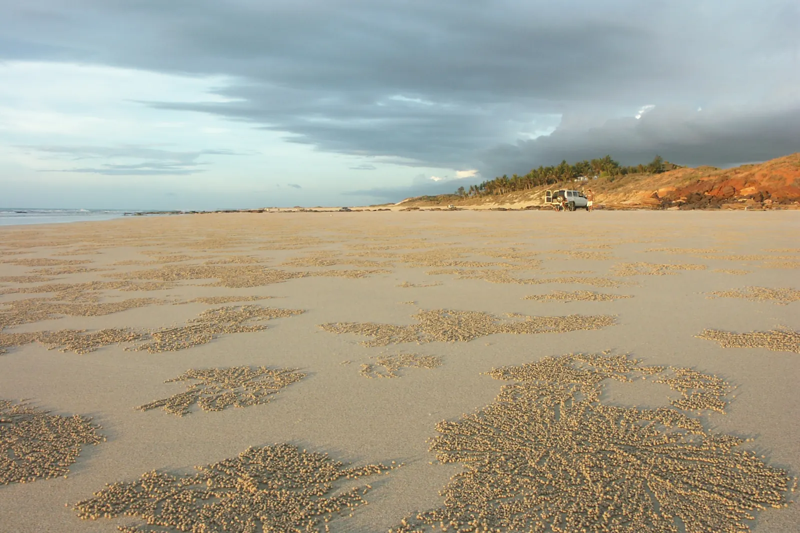 Wet sand patterned with small crab pellets below red pindan cliffs on Cable Beach, Broome